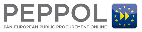 Reikningur með PEPPOL 100 reikningum / mánuði